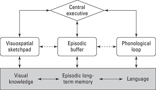 Cognitive Psychology: Working Short-Term Memory – dummies – Dummies.com